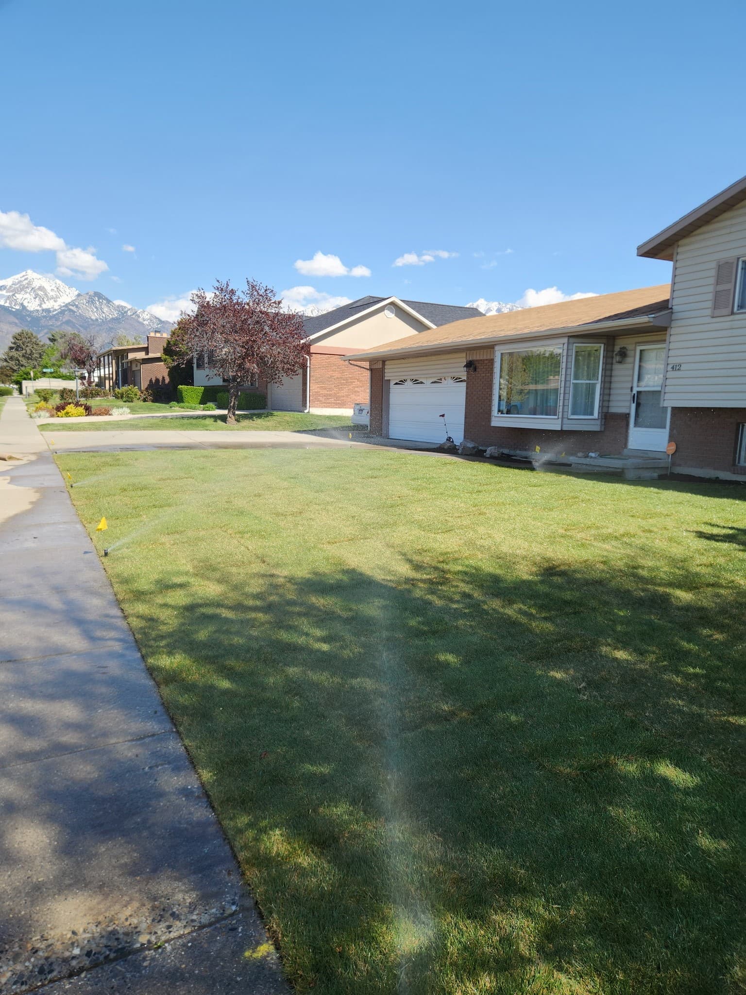 Yard transformation - After