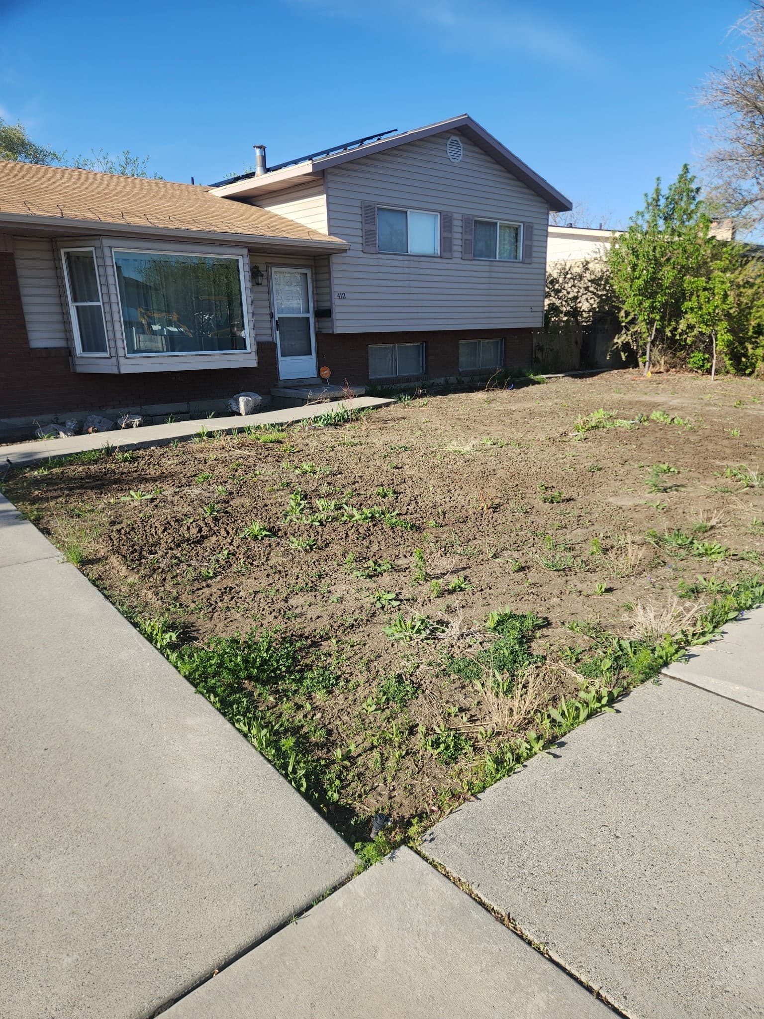 Yard transformation - Before