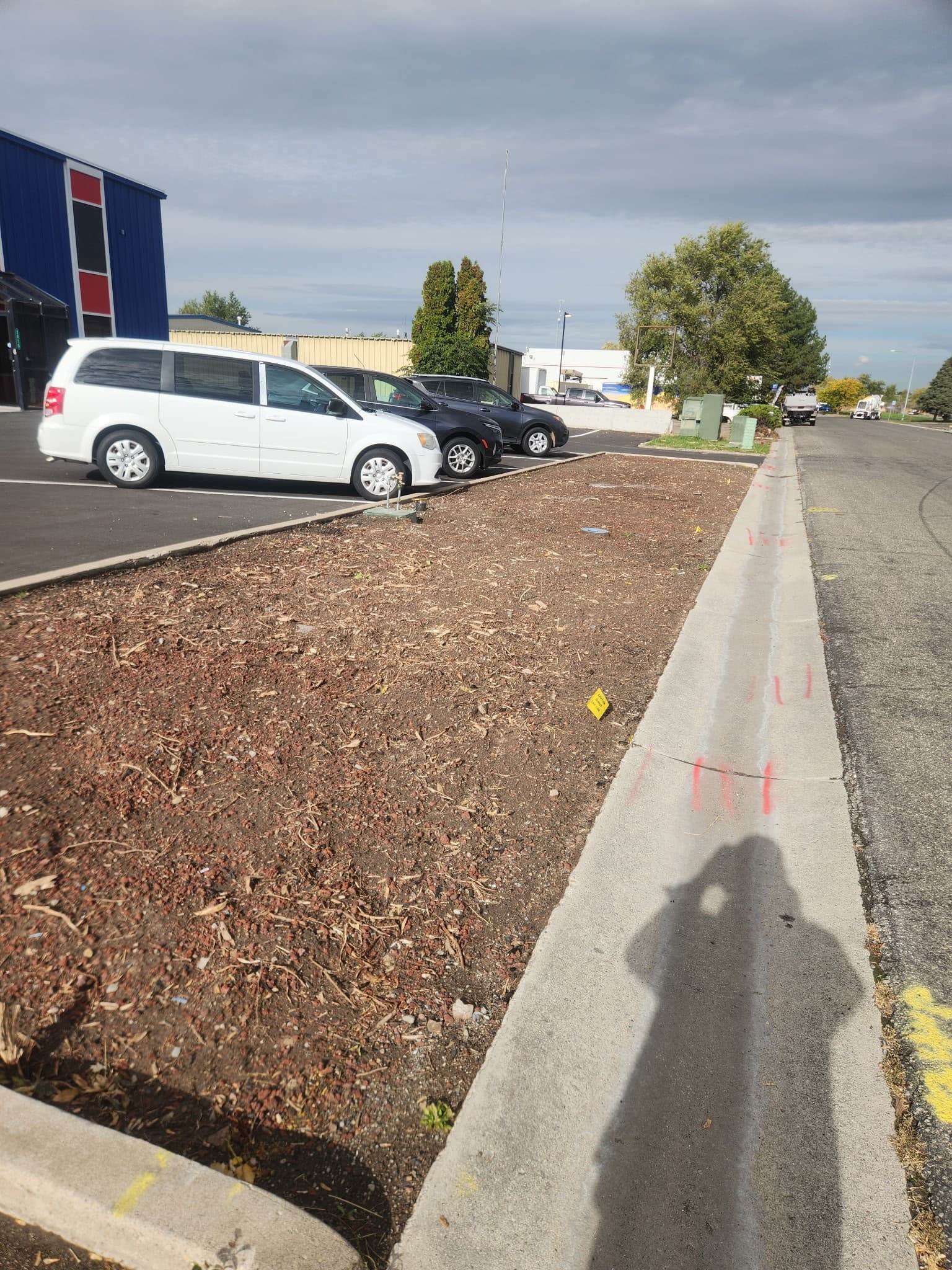 Flower bed update - Before