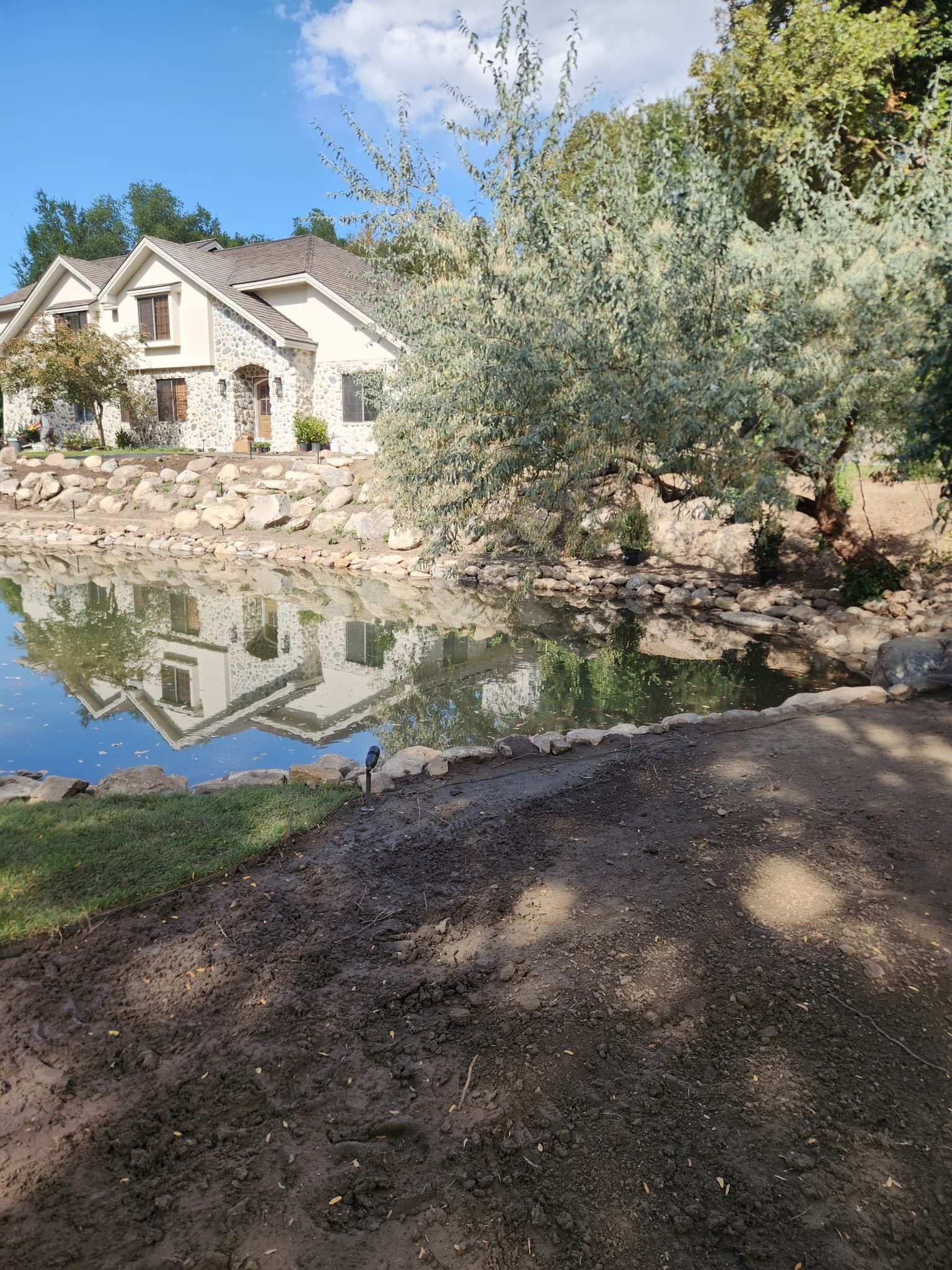 Pond area cleanup - Before